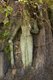 Thailand: Stone figure at Wat Khao Tham Khan Kradai, Prachuap Khiri Khan Province