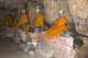 Thailand: Buddha figures in the cave at Wat Khao Tham Khan Kradai, Prachuap Khiri Khan Province
